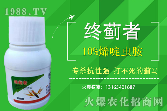 10%烯啶蟲胺能打薊馬嗎？有什么特點(diǎn)？10%烯啶蟲胺使用注意事項(xiàng)！