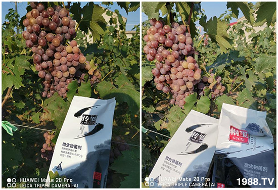 好產(chǎn)品好作用，“一璽生物”微生物菌劑“幗璽”客戶真實反饋！