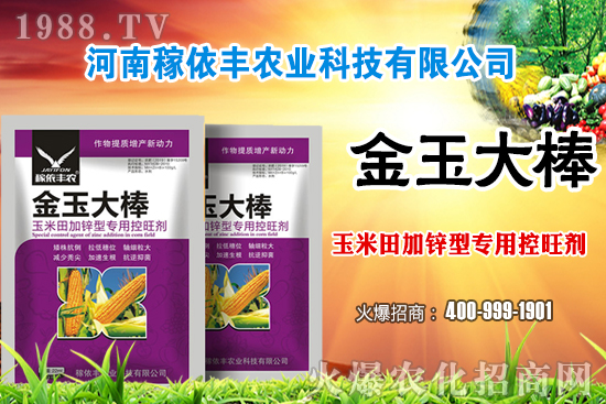 玉米施肥尿素和復(fù)合肥哪個好?玉米施肥注意事項(xiàng)有哪些?