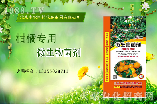 柑橘怎么施肥?施什么肥?柑橘專(zhuān)用肥有哪些?