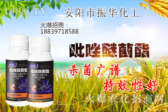 黃瓜白粉病危害有哪些，黃瓜白粉病怎么治？該打什么農(nóng)藥？