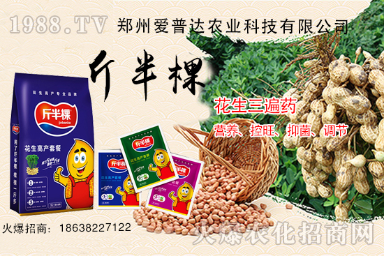 花生三遍藥什么時(shí)期使用?花生三遍藥有哪些作用?