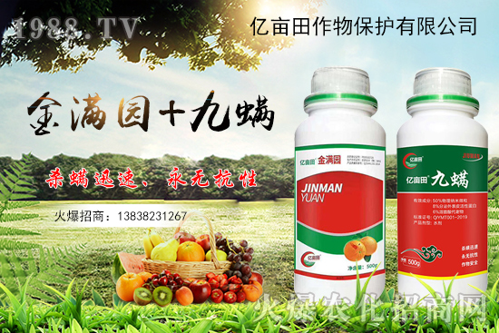 ����x�y�|������M�@+�������p�������������Ț��约�x���з�Ч��