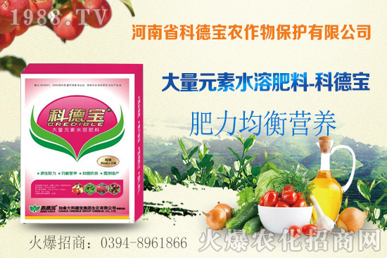 ���׿ն�Σ������ʲôԭ����ɵ������׿ն����ش�ʩ��