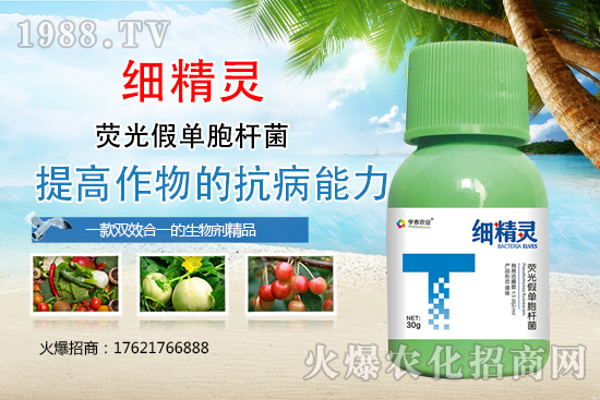 細(xì)菌性病害危害癥狀有哪些？細(xì)菌性病害防治藥劑推薦！