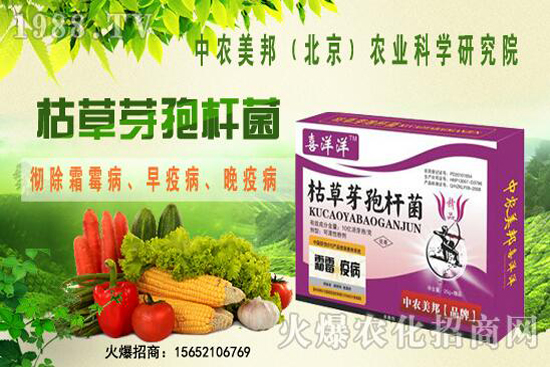 枯草芽孢桿菌治根腐病嗎，防治哪些土傳病害？防治對象有哪些？