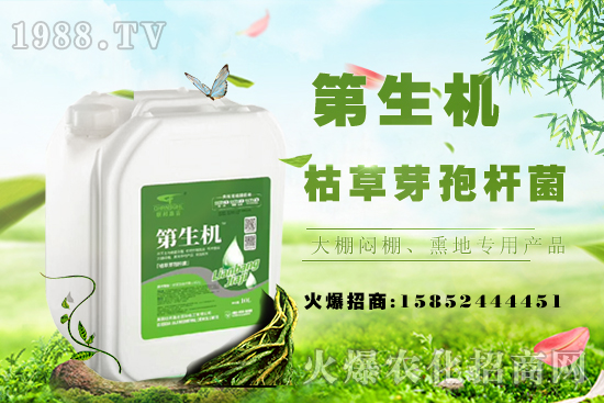 豆角只長蔓不開花啥原因？如何促花促莢提產(chǎn)量？