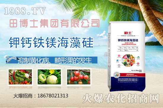 越夏番茄畸形果、產(chǎn)量上不去！防治番茄畸形果，這些要領(lǐng)需掌握！