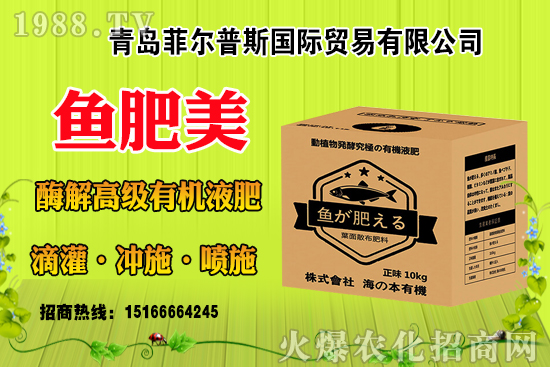 玉米結(jié)實(shí)不好啥原因？有法補(bǔ)救嗎？玉米結(jié)實(shí)不良改善措施！
