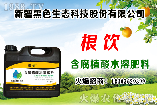 立秋后露地大白菜播種時間，管理需注意什么問題？