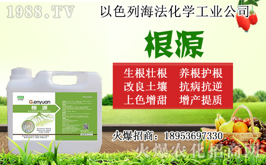 無(wú)花果怎么扦插?無(wú)花果扦插時(shí)間及扦插繁殖方法!