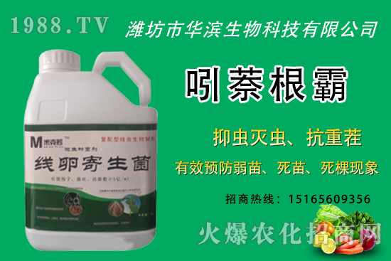 無花果種植什么品種較好？無花果皮可以吃嗎？種植前景怎樣？