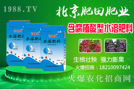蘆柑產(chǎn)地在哪？蘆柑什么時(shí)候上市？如何挑選蘆柑？