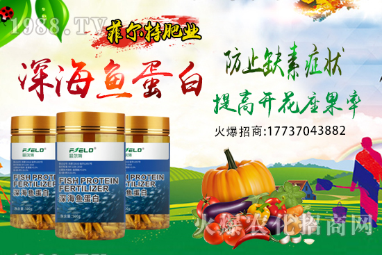 青梗菜種植時(shí)間，青梗菜栽培及管理關(guān)鍵要點(diǎn)！