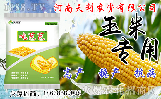 種人參果到底掙不掙錢？種植前景如何？人參果種子怎么種？