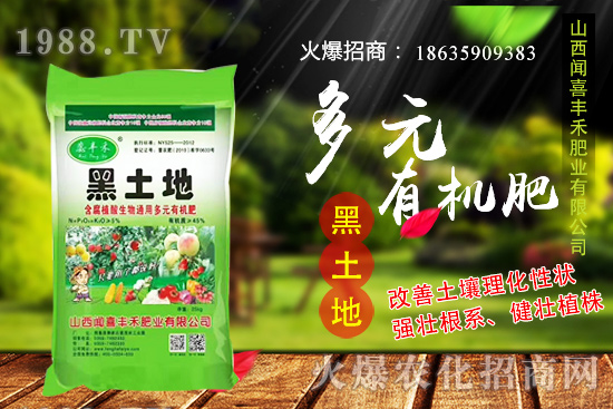 生姜如何選種，生姜什么時(shí)候種植？種植前需注意哪些問題？