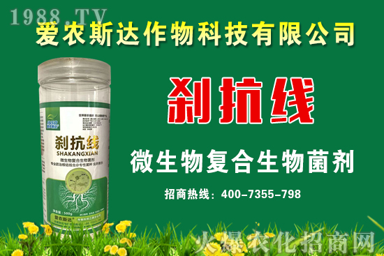 今日糧價(jià):2020年9月11日小麥價(jià)格行情預(yù)測!