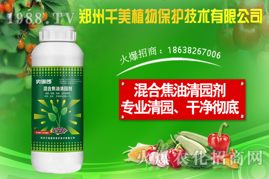 金錢草種子怎么種？金錢草種植方法介紹！