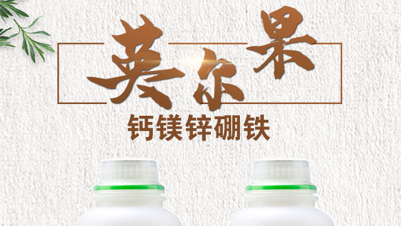 鈣鎂鋅硼鐵-英爾果_01