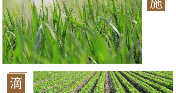 鈣鎂鋅硼鐵-英爾果_10