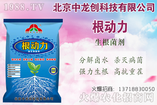 白蘿卜的需肥特性有哪些,白蘿卜施肥技術(shù)要點(diǎn)!