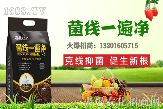 9月19日小麥價格更新，漲跌互現(xiàn)！