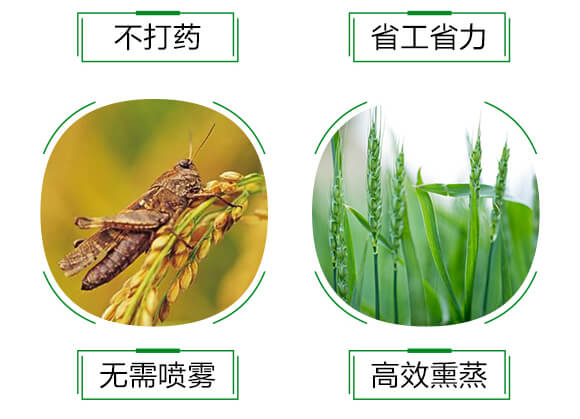 白粉熏蒸劑-無(wú)粉120-晨茂農(nóng)業(yè)_06