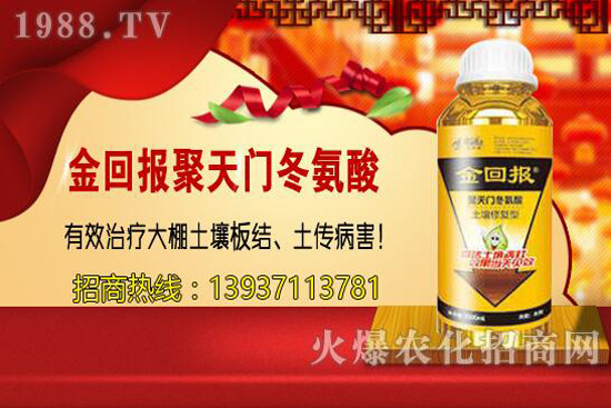 大顆粒尿素與小顆粒有啥不同？尿素該選哪一種？