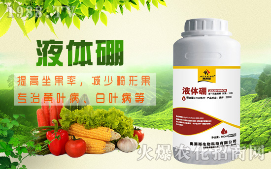 棉花缺硼危害究竟有多大，棉花缺硼癥狀及硼肥施用技術(shù)！