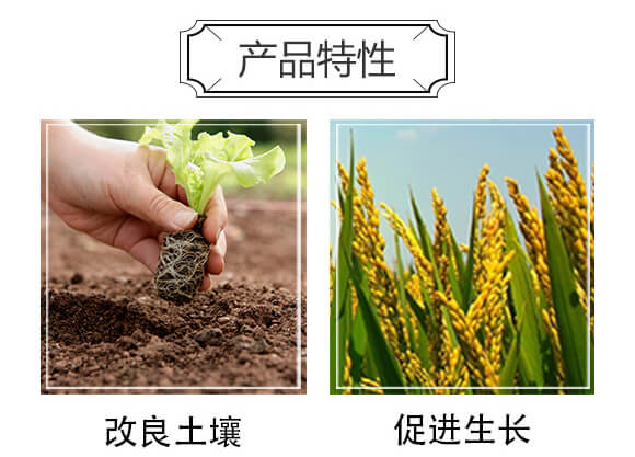 꿾�-�����S_03