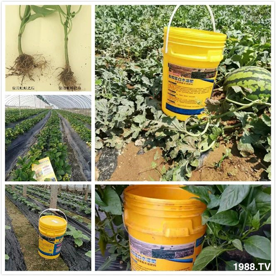 水溶肥市場大變革?。亢Ｔ寰?、魚蛋白將被它代替！1000多用戶鼎力推薦！