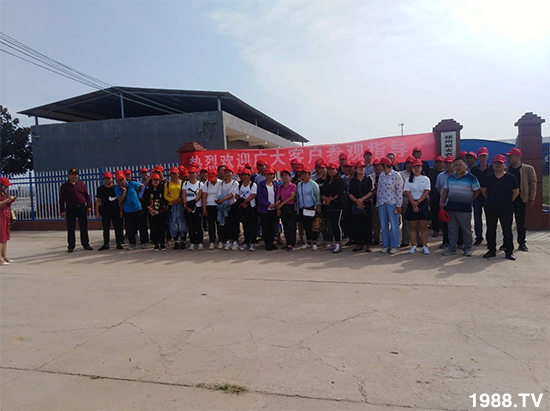 水溶肥市場大變革！？海藻精、魚蛋白將被它代替！1000多用戶鼎力推薦！