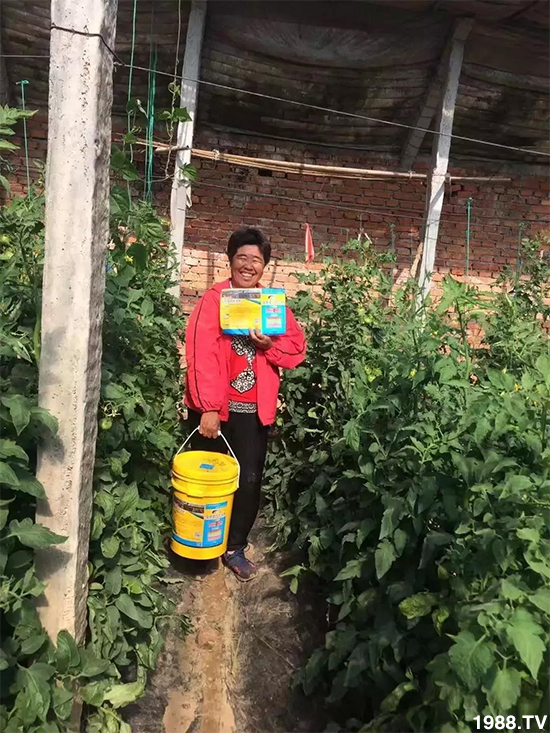 水溶肥市場大變革！？海藻精、魚蛋白將被它代替！1000多用戶鼎力推薦！