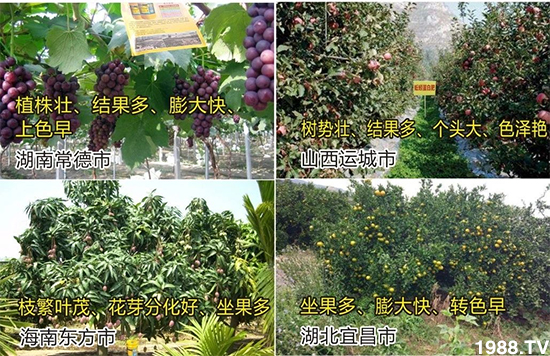 水溶肥市場大變革?。亢Ｔ寰?、魚蛋白將被它代替！1000多用戶鼎力推薦！