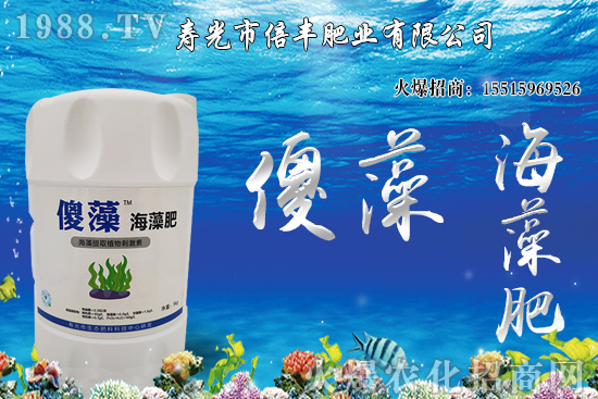 市場(chǎng)逐步回歸正?；久?，大豆價(jià)格沖高回落！