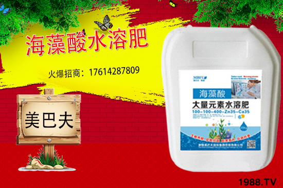 海藻肥具有哪些作用？與傳統(tǒng)肥料相比有何優(yōu)勢(shì)？