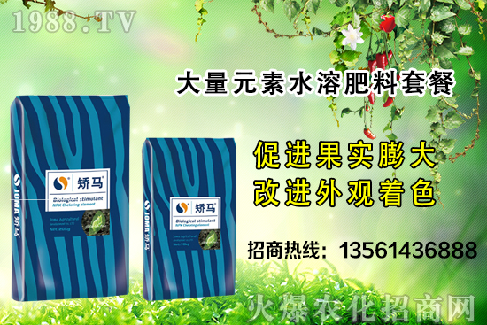 �＾����ʩ�ʵĺ�̎����Щ���＾����ʩ��ָ��(d��o)������