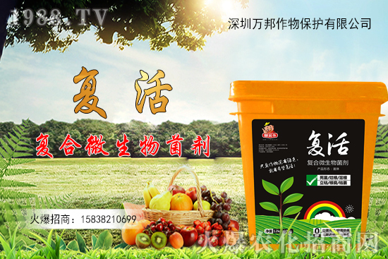 ���������ԷN������M(j��n)�й�������ʲô����Ҫ�c(di��n)��