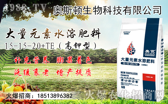 小麥價(jià)格行情能上漲多少？附今日新小麥價(jià)格