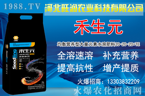 2020種植金銀花賺錢嗎？金銀花生長條件及種植前景！