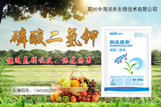 果樹(shù)一整年到底該怎么施肥？果樹(shù)施肥注意事項(xiàng)有哪些？