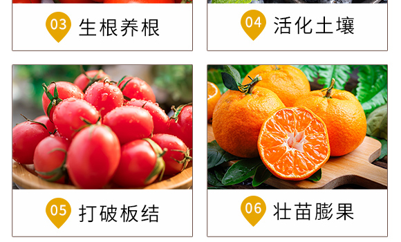 強(qiáng)力生根-農(nóng)醫(yī)師-開(kāi)墾牛_06