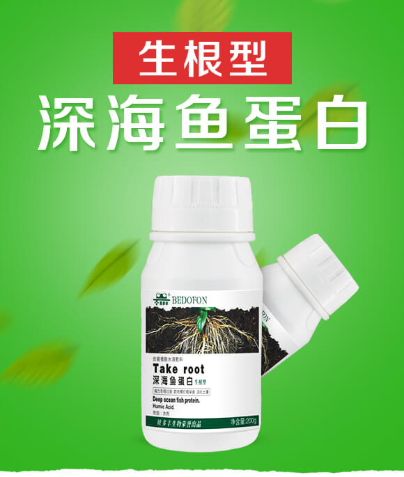 生根型深海魚蛋白-貝多豐_01