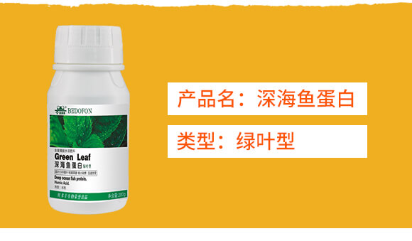 �G�~����~����-ؐ���S_02