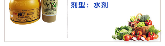 ���τ��˹���(sh��)Ƥ-����-(li��n)��ϲ�r(n��ng)_04