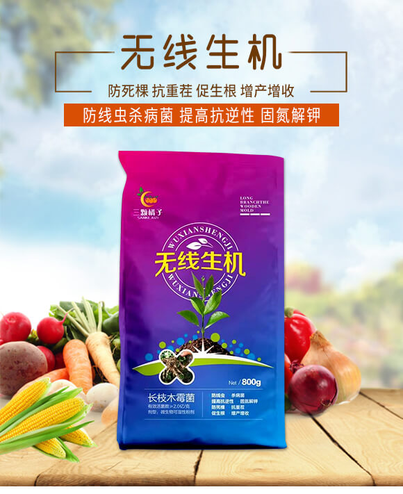 無線生機-三顆橘子_01