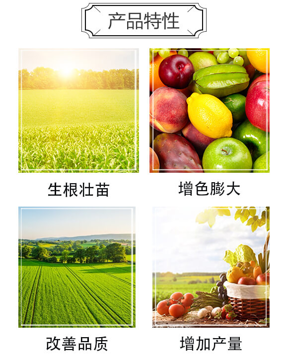 高鈣高鉀濃縮液-鈣鉀膨果王-海法優(yōu)佳_03