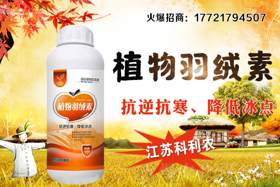 春玉米種植密度如何把握，春玉米施肥及中后期管理！