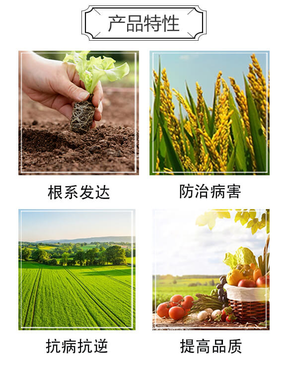 豆渣有機肥-康華生物_03