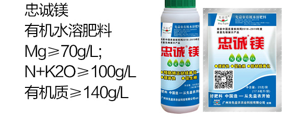 有機水溶肥料-忠誠鎂-先益農(nóng)_04